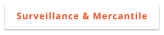 Surveillance & Mercantile